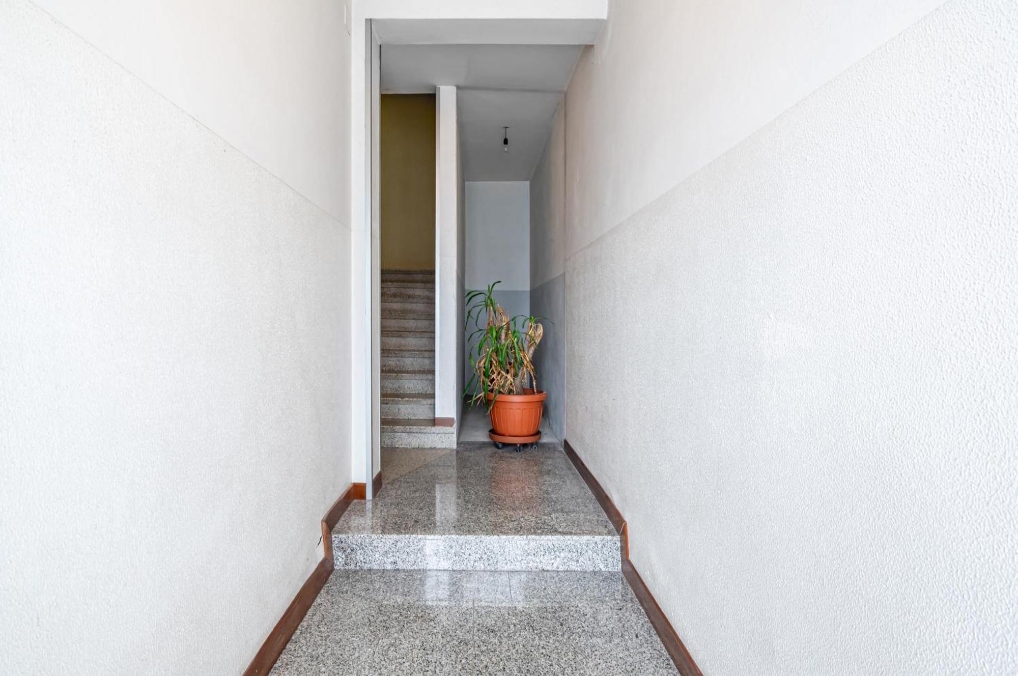 San Vincenzo Apartments 1 - 2 - 4 Вигонца Экстерьер фото